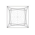 Princess Cut Lab Grown Diamond 1 CT